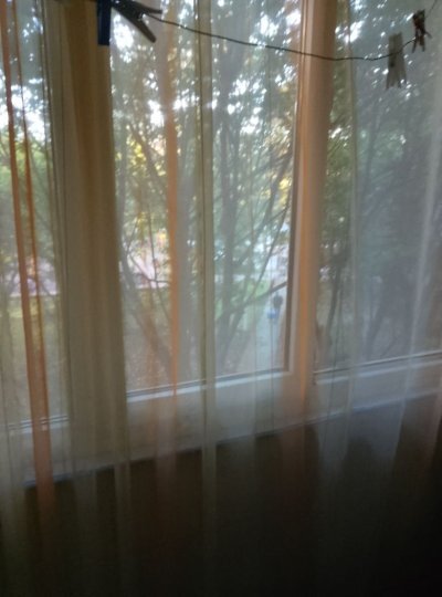 Berceni, Aparatorii Patriei, strada Aliorului